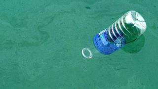 There Are Over 5 Trillion Pieces of Plastic Floating in Our Oceans